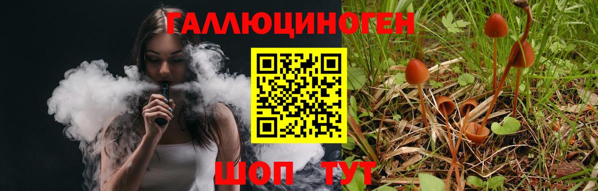 Галлюциногенные грибы Psilocybe  Вход с VPN  Новомосковск  Галлюциногенные грибы Magic Shrooms 